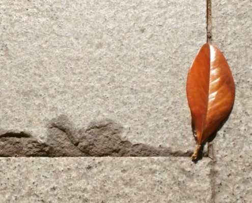 IMG_20171102_064621_535