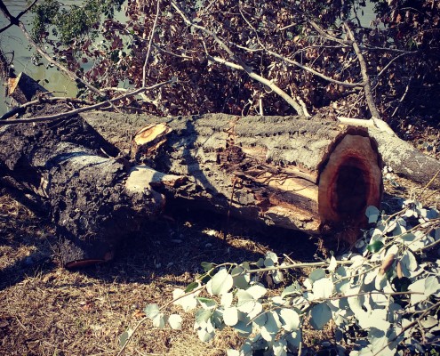 IMG_20171013_072730_227