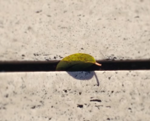 IMG_20180208_065713_919